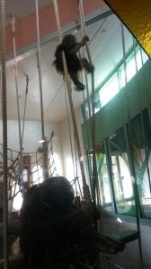 20150215_111710